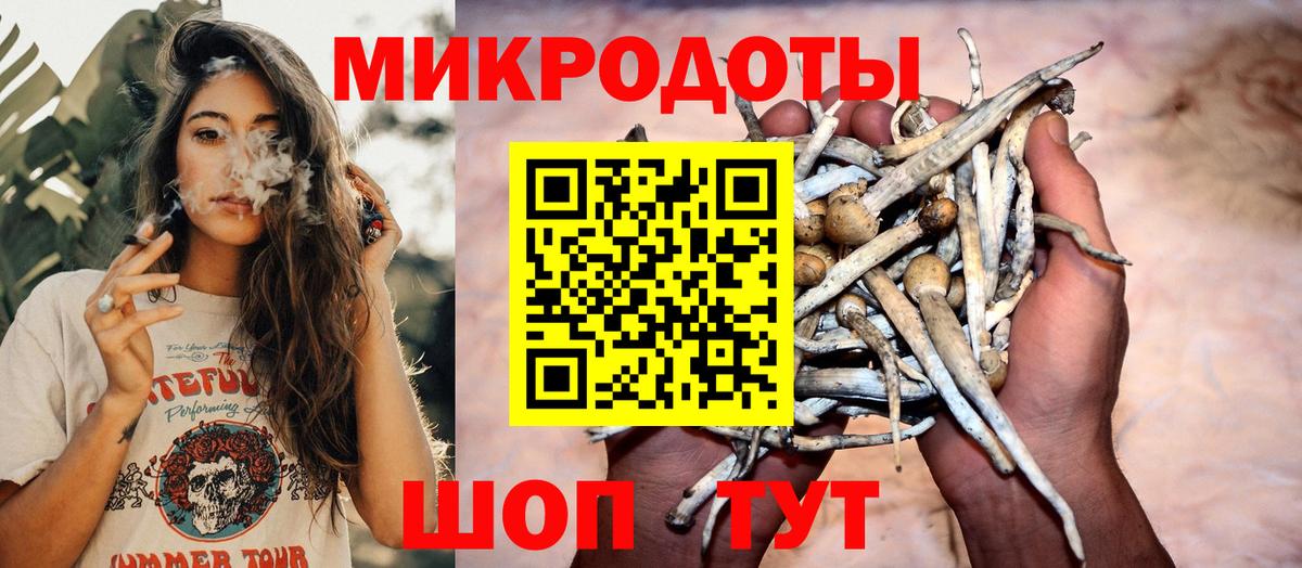 Галлюциногенные грибы ЛСД Камышин