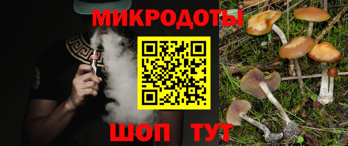 Камышин  Галлюциногенные грибы мицелий  Вход с VPN 